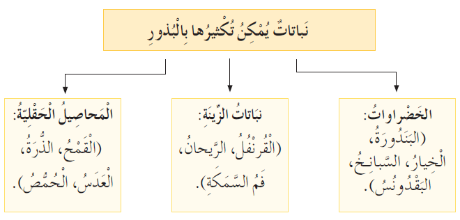 نباتاتٍ تتكاثر بالبذور